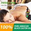 Jamaican Black Castor Oil 100 Pure and Organic Cold Pressed in Glass Bottles for Hair Growth Eyebrow Nourishment and Ski