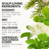 Pacifica Conditioner Rosemary Purify Invigorating Conditioner with Hydrating Jojoba Cooling Mint for Balanced Moisture S