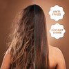 LATINOIL Chia Oil Hair Treatment for Hair Frizz and Dryness Hair Treatment with Chia Seed Oil Amino acids Omegas Sulfate