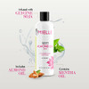 Mielle Organics Mint Almond Oil Lightweight Dry Scalp Oil to Lock in Moisture and Help Encourage Longer Healthier Hair S