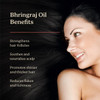 Life Pursuits Bhringraj Hair Growth Oil 68 Fl Oz Natural Ayurveda Scalp Therapy For Men Women Rosemary Amla Hibiscus Tea