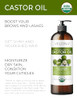 velona USDA Certified Organic Castor Oil 16 fl oz With Pump For Hair Growth Boost Eyelashes Eyebrows Cold pressed Natura