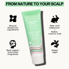 PACIFICA Rosemary Detox Scalp Scrub by Pacifica for Women 4 oz Scrub White