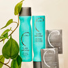 Malibu C Scalp Wellness Collection Soothing Shampoo and Conditioner Hair Care Set for Dry Scalp Formulated with Vitamin