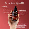 Cliganic NonGMO Jojoba Oil for Skin Hair Face 4oz 100 Pure Natural Cold Pressed Unrefined Hexane Free