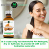 EASY LOOK ELP Pure Sweet Almond Oil 100 Pure Natural Carrier Oil 2 fl oz