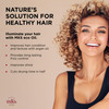 MKS eco Oil Original 2 fl oz Hair Styling Elixir Moroccan Argan Oil Hemp Seed Oil Moisturize Nourish Hair Control Frizz