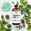 Castor Oil 100 Pure Organic Cold Pressed Unrefined Glass Bottle USDA Certified Organic Hexane Free Extra Virgin for Hair