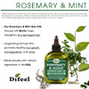 Difeel Rosemary and Mint Premium Hair Oil with Biotin 71 oz PACK OF 2 Made with Natural Mint Rosemary Oil for Hair Growt