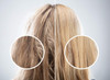 Difeel Argan Oil Hair Mask 8 oz Deep Conditioning Hair Treatment for Dry Color Treated Hair Helps Repair Moisturize and