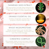 Rene Furterer TONUCIA Replumping Conditioning Mask For Thin Weakened Hair due to Aging Redensifies Revitalizes Proyouth