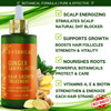 Botanical Hair Growth Treatment Ginger Saw Palmetto Hair Oil For Hair Thinning Prevention PreShampoo Scalp Stimulating D