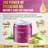Jenoris Pistachio Hair Mask for Dry Damaged Hair Deep Conditioning Hair Mask Treatment with Pistachio Oil Vitamin E For