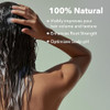 HairSmart Hair Growth Shampoo Organic Shampoo with Ginger Amla Neem for Thicker Healthier Hair Shampoo