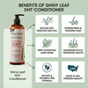 DHT Blocker Conditioner with Rosemary Leaf Oil for Hair Growth Softer Smoother Hair Paraben Sulfate Free 16 oz