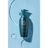 DAENG GI MEO RI Shampoo for Oily Hair Korean Scalp Care Sebum Control Herbal Extracts KBeauty Hair Cleanser 400ml 135FL
