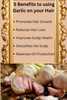 ISHA DNA Garlic Conditioner 32 Fl Oz Infused with Keratin and Garlic Extract For Damaged Thinning Hair Stops Hair Loss a