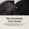 The Face Shop Quick Hair Puff Natural Brown Root Touch Up Hair Color Hairline Powder Conceals Hair Loss Hair Topper for