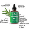 Rosemary Oil for Hair Growth for Women Men Strengthens Hydrates Thinning Dry Hair for a HealthierLooking Scalp For Women