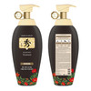 DAENG GI MEO RI Dlaesoo Anti HairLoss Shampoo and Treatment Set Jeju Camellia Oil Nutrition Scalp Care Hair Shine 135 FL