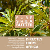 Saryna Key Light Treatment Butter Mask African Shea Butter for Dry Hair Treatment Rejuvenating Butter Moisturizer with N