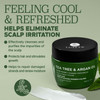 Luseta Tea Tree Oil Hair Mask 169 oz Hydrating Moisturizing Treatment Soothing for Itchy Scalps and Dandruff