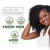 ORS Olive Oil Moisture Restore Creamy Aloe Shampoo Infused with Aleo Vera 125 Ounce