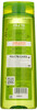 Garnier Fructis Sleek Shine Shampoo Frizzy Dry Unmanageable Hair 125 fl oz