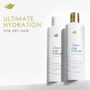 Dove Damage Therapy Shampoo Daily Moisture for Dry Hair with BioProtein Care Technology and Hyaluronic Serum 12 Fl Oz