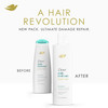 Dove Damage Therapy Shampoo Daily Moisture for Dry Hair with BioProtein Care Technology and Hyaluronic Serum 12 Fl Oz