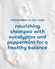 Seaweed Bath Co Balance Shampoo Eucalyptus Peppermint Hydrating Daily Shampoo with Vitamin E Argan Oil Coconut Oil For N