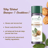 Biotique Bio Walnut Bark Volumizing Shampoo For Fine Thinning Hair 120 ml 405 Oz I Makes Hair Healthy Silky Shiny And Pu
