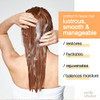 milkshake Moisture Plus Hydrating and Moisturizing Shampoo for Dry Hair 17 Fl Oz