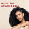 Creme of Nature Mango Shea Butter UltraMoisturizing Shampoo with Certified Natural Ingredients Creamy Hydrating Cleanser