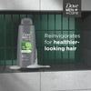 DOVE MEN CARE Men 2 in 1 Shampoo and Conditioner Lime Cedarwood For HealthyLooking Hair Naturally Derived Plant Based Cl