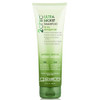 GIOVANNI 2chic UltraMoist Shampoo Avocado Olive Oil Creamy Hydration Formula Enriched with Aloe Vera Shea Butter Botanic