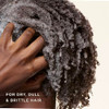 Carols Daughter Black Vanilla Moisture Sulfate Free Shampoo for Curly Wavy or Natural Hair Moisturizing Hair Care for Dr