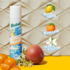 Batiste Dry Shampoo Fresh Fragrance Refresh Hair and Absorb Oil Between Washes Waterless Shampoo for Added Hair Texture