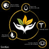 ShiKai Henna Gold Highlighting Shampoo 12 oz Hydrating Hair Brightener Enhances Natural Highlights Add Shine Volume to D