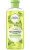 Herbal Essences TeaLightfully Clean Refreshing Shampoo 117 oz