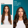 OGX Renewing Argan Oil of Morocco Shampoo Conditioner Set Damage Repairing Shampoo Conditioner Helps Strengthen Repair D