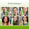 Clarifying Shampoo for Build Up Oily Hair Tea Tree Shampoo for Men and Women with Rosemary Essential Oil for Oily Hair a