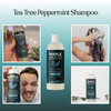 Rosemary Tea Tree Mint Shampoo Clarifying Shampoo for Build Up and Flakes with Deep Cleansing Peppermint Oil and Tea Tre