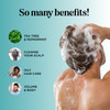 Rosemary Tea Tree Mint Shampoo Clarifying Shampoo for Build Up and Flakes with Deep Cleansing Peppermint Oil and Tea Tre