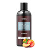 KUNDAL Natural Hair Shampoo Fuzzy Navel Scent Nourishing for Dry Hair with Honey Argan Macadamia Oils Paraben Sulfate Fr