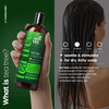 artnaturals Tea Tree Conditioner 16 Fl Oz Sulfate Free Made w 100 Pure Natural Therapeutic Grade Tea Tree Essential Oil