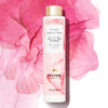 Pantene Nutrient Blends Miracle Moisture Boost Rose Water Shampoo for Dry Hair Sulfate Free Floral 96 Fl Oz