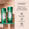 Suave Shampoo and Conditioner Rosemary Mint Invigorating Formula with 100 Natural Essential Oils 126 Oz Ea