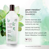 Bain de Terre Green Meadow Balancing Shampoo Gentle Cleansing for Soft Silky Hair with Argan Monoi Oils Parabenfree Colo
