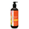 Natural Solution Organic Argan Oil Shampoo Refreshing Hydrating and Extra Nourishing Daily Care for All Hair Types 17 oz